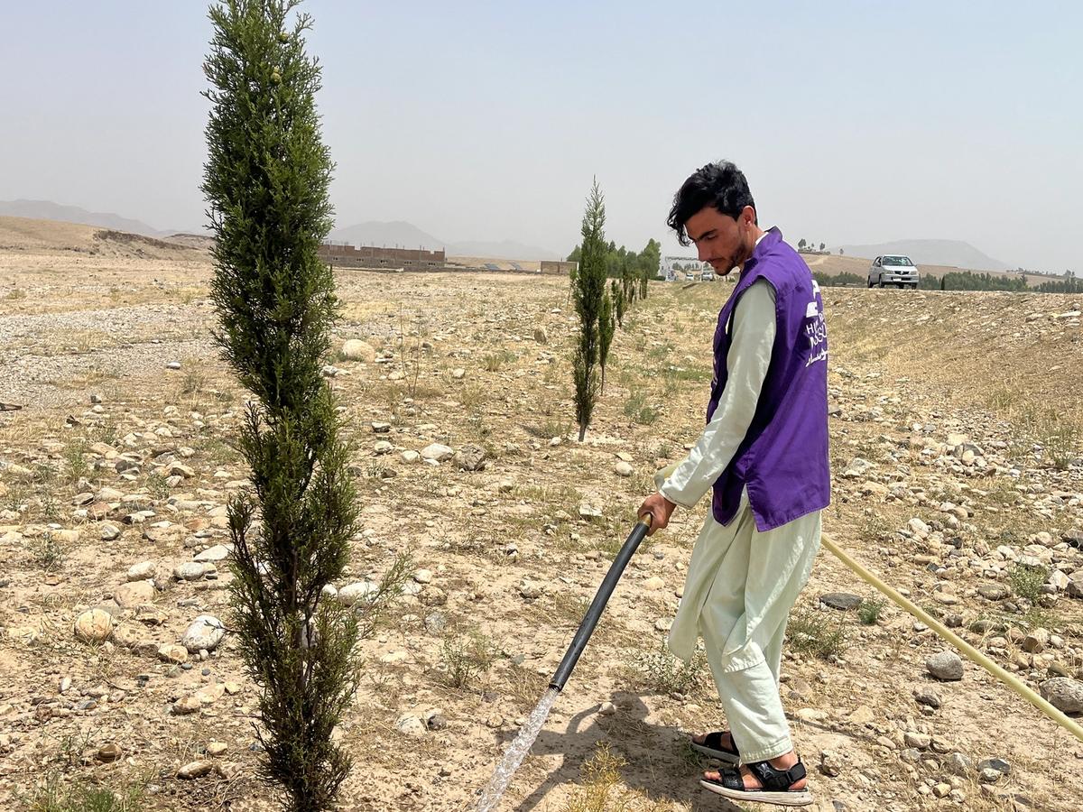 HRM Charity Aid Worker Planting a tree in Afghanistan | Human Relief Mission