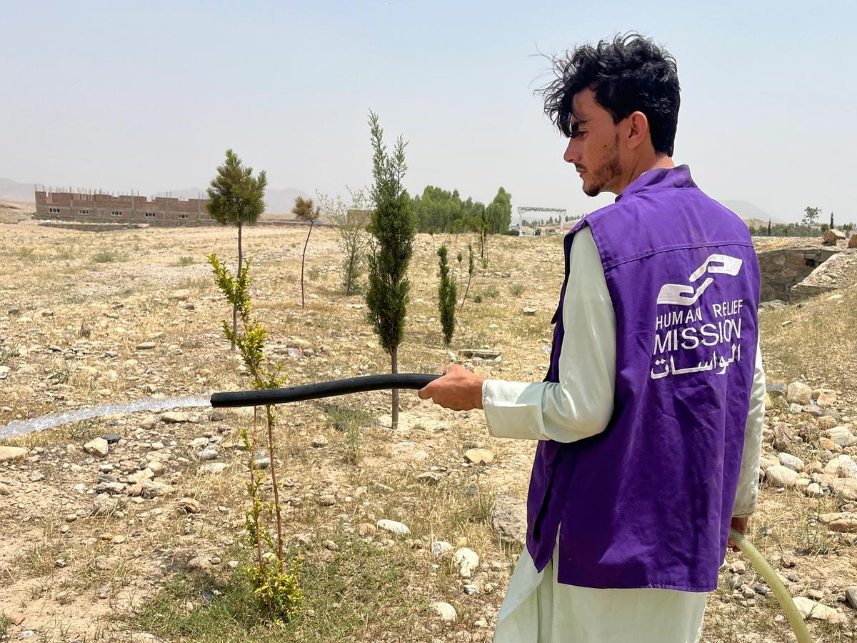 Close up of HRM Charity Aid Worker Planting and watering a tree in Afghanistan | Human Relief Mission