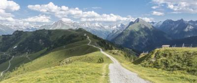 Kurzfristige Gewinne vs. langfristiger Erfolg