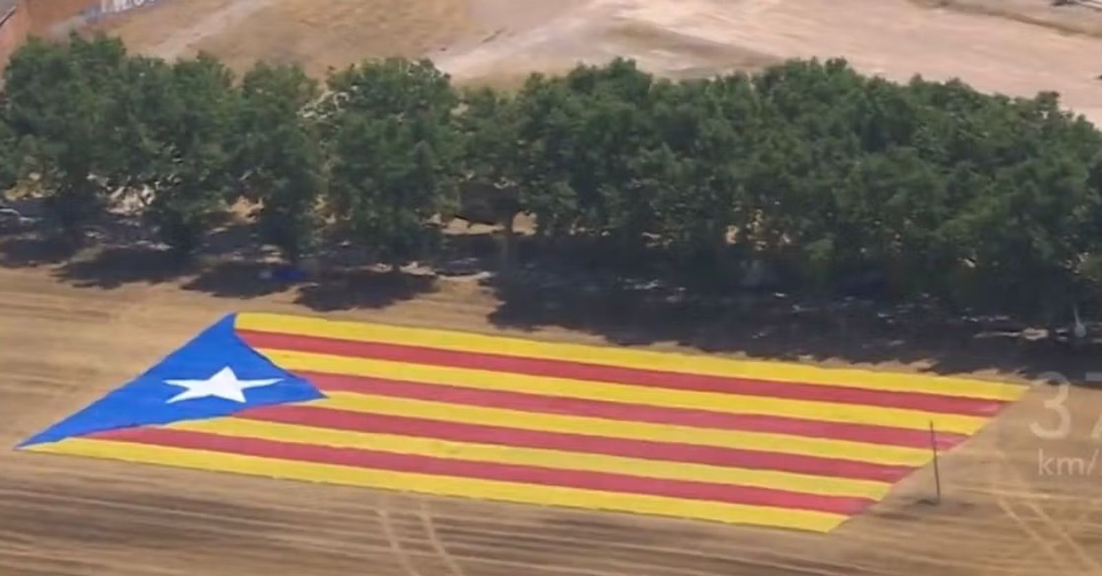 Consell de la República