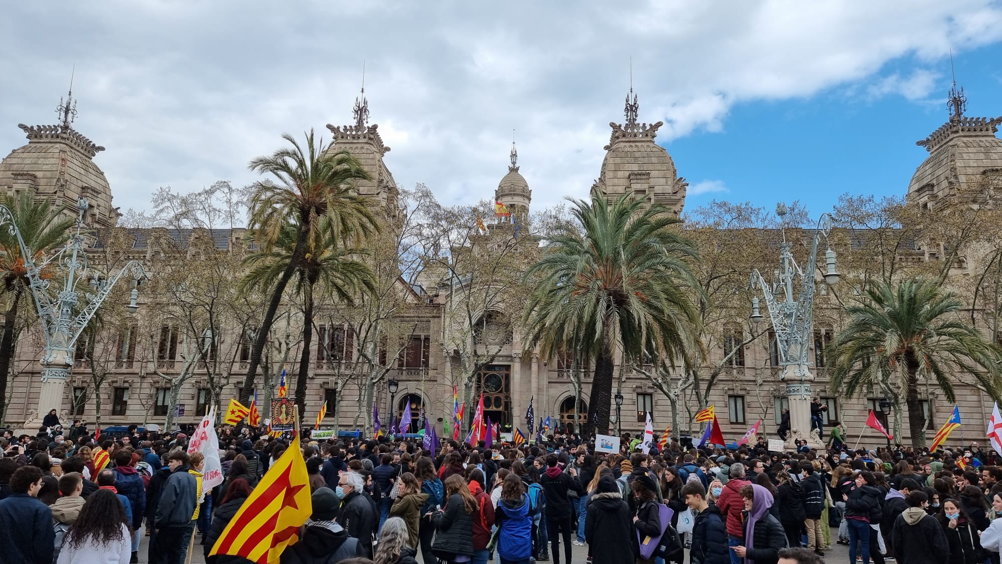 Comunicat del Consell en defensa de la llengua catalana i el sistema immersiu a l’escola