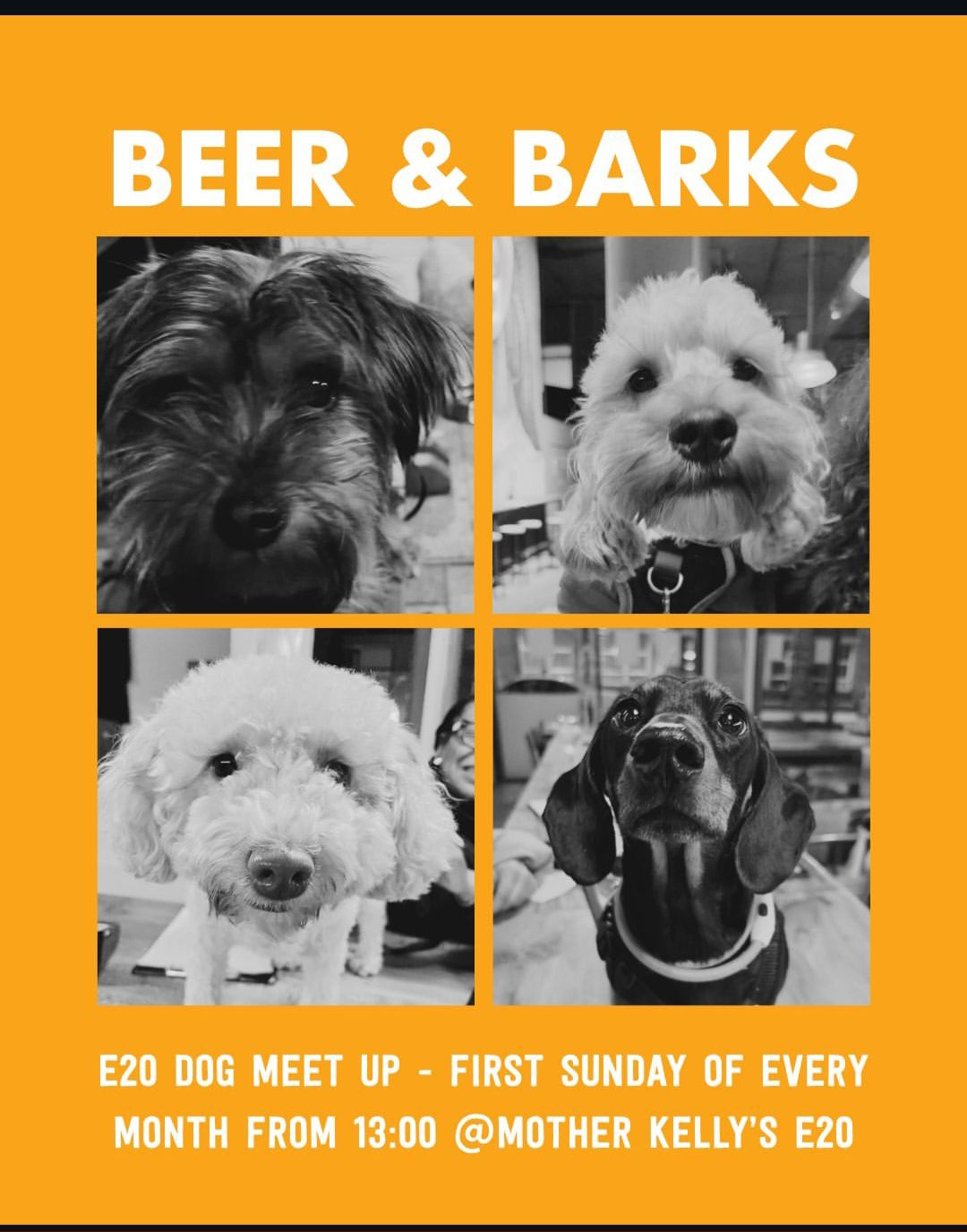 Beer and Barks