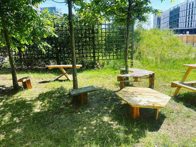 Lighthouse Community Garden Summer Party