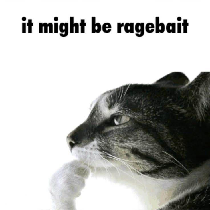 ragebait