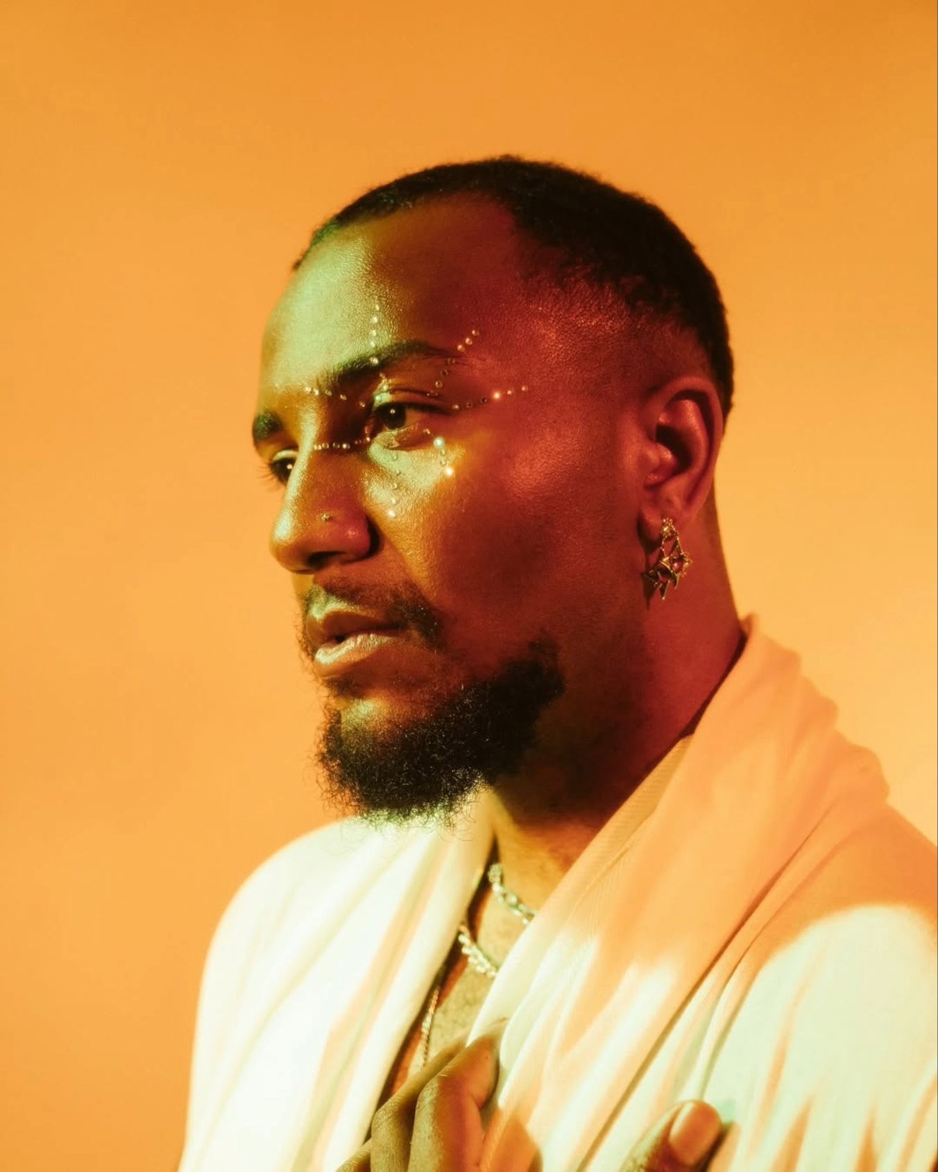 Chromonicci artist image