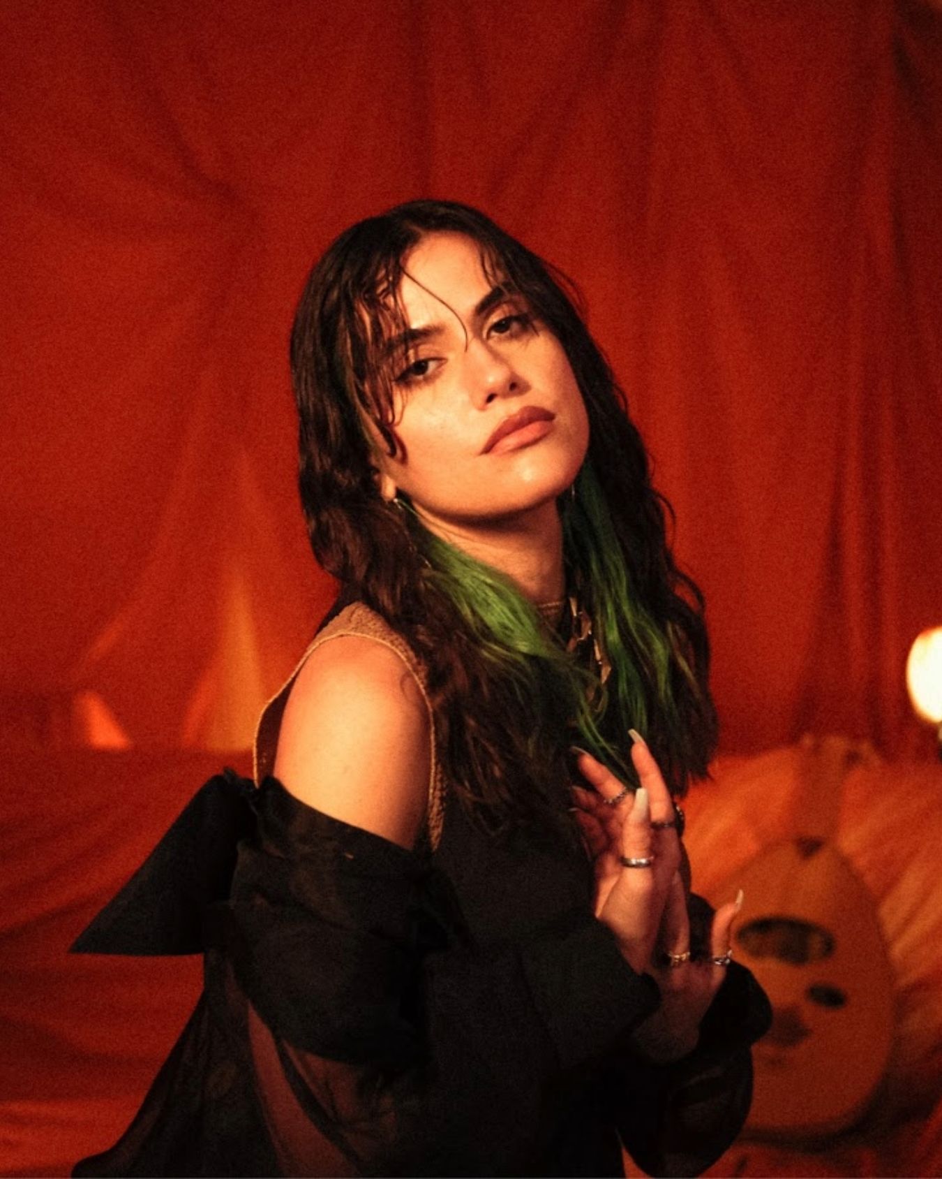 Lana Lubany artist image