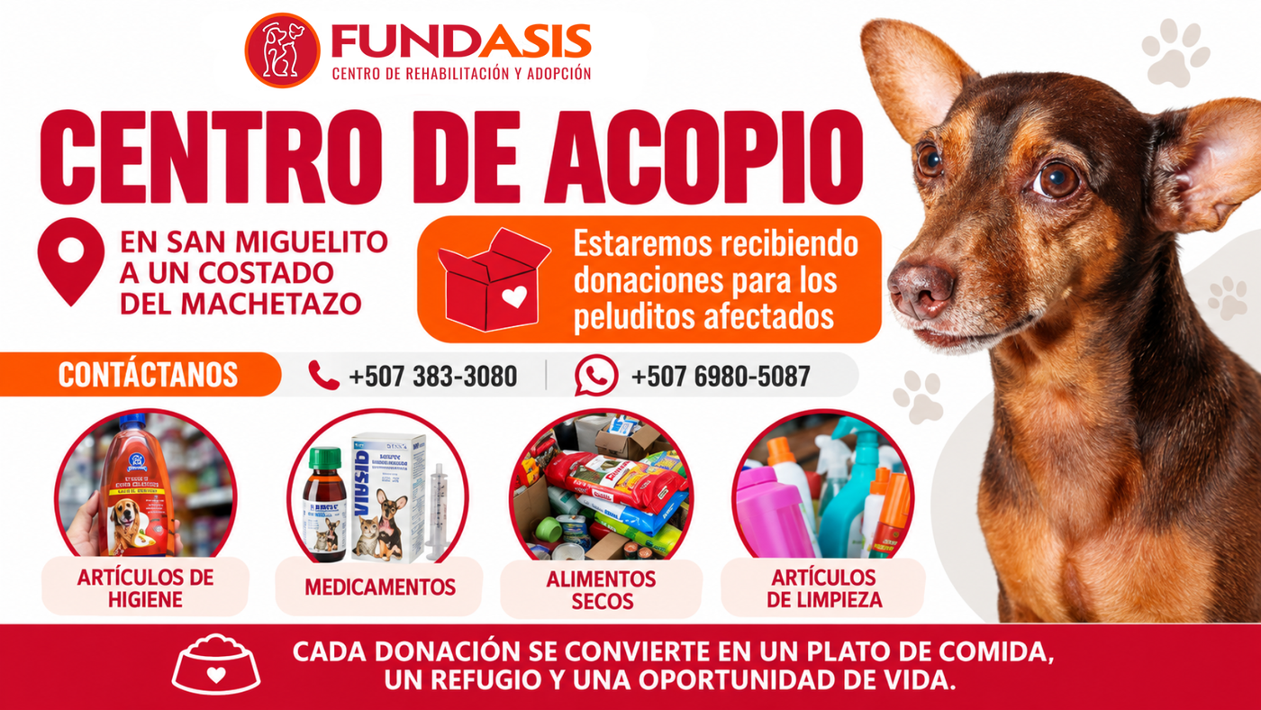 Afiche del centro de acopio de FUNDASIS para mascotas afectadas