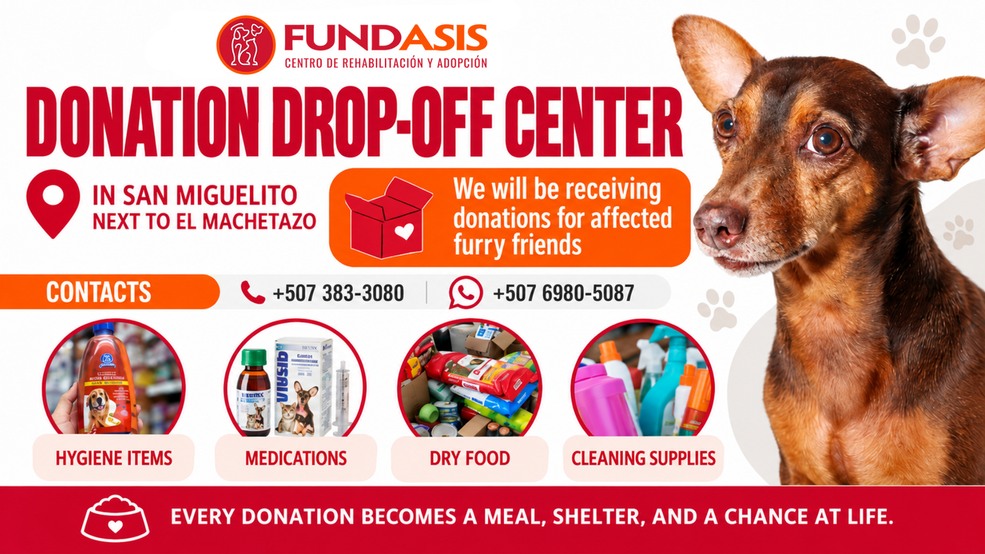 FUNDASIS donation center flyer for affected pets