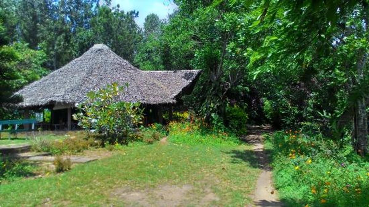 Kodaikanal Pranic Healing