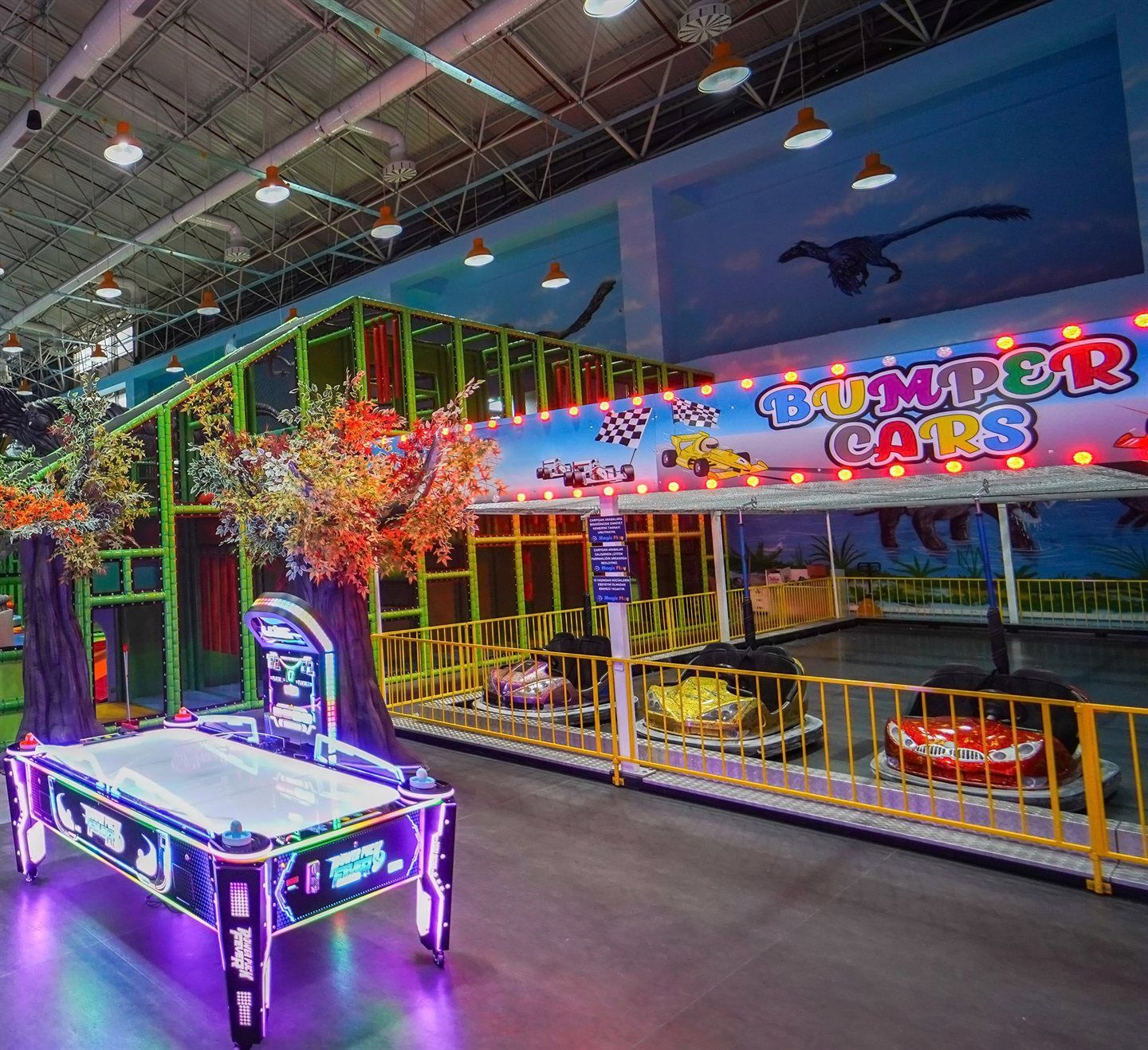 Bumper Cars - 2
