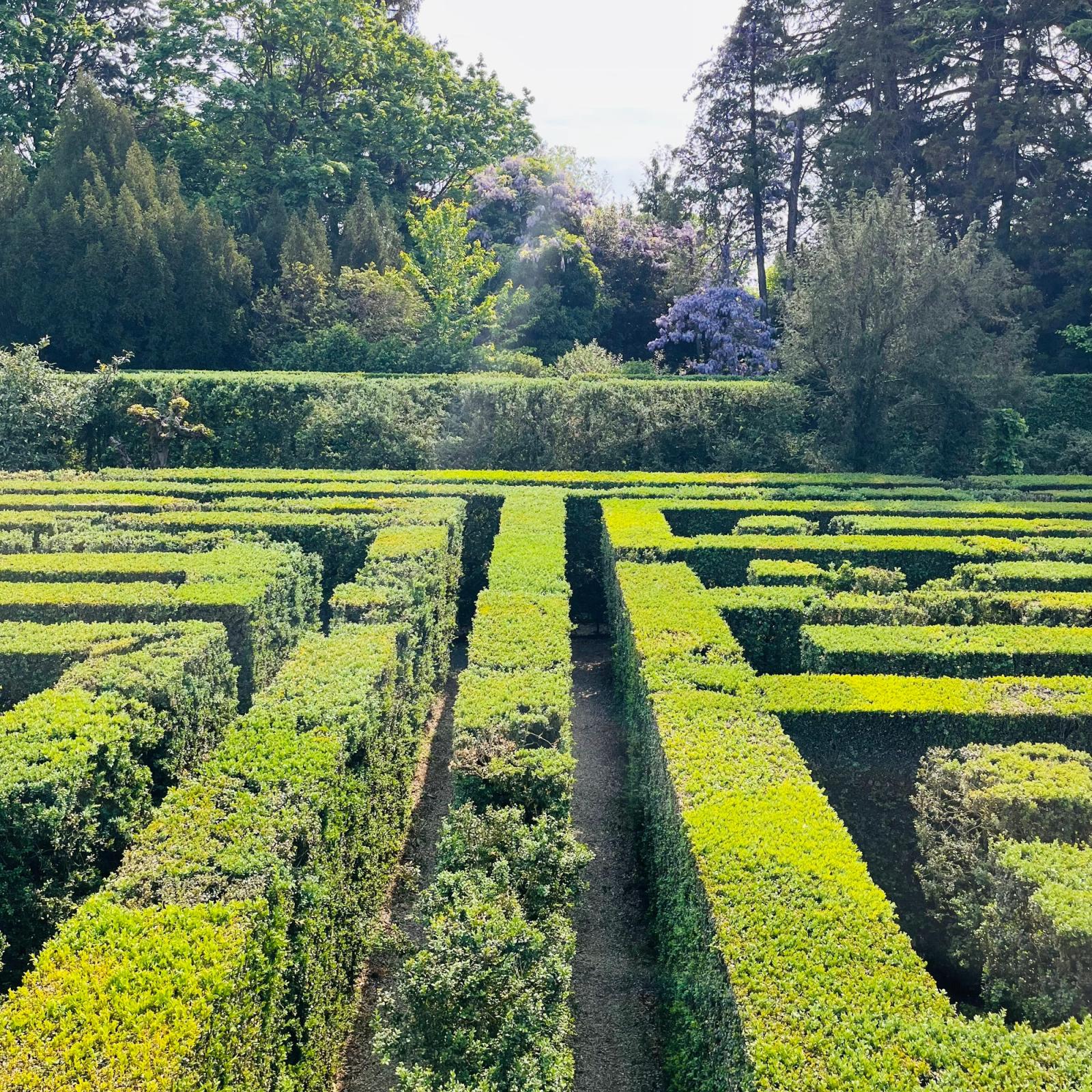 l labirinto di bosso del Giardino Monumentale di Valsanzibio.