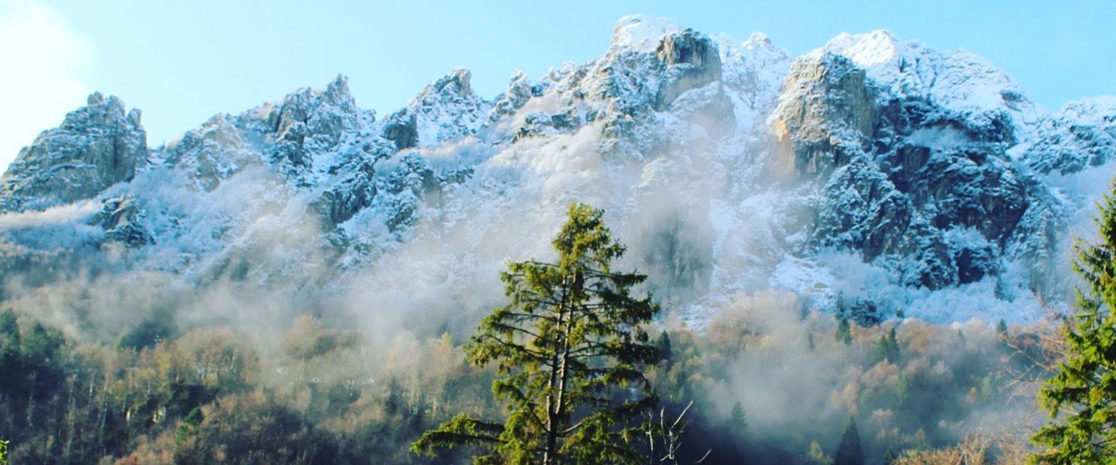 Vigneti di montagna