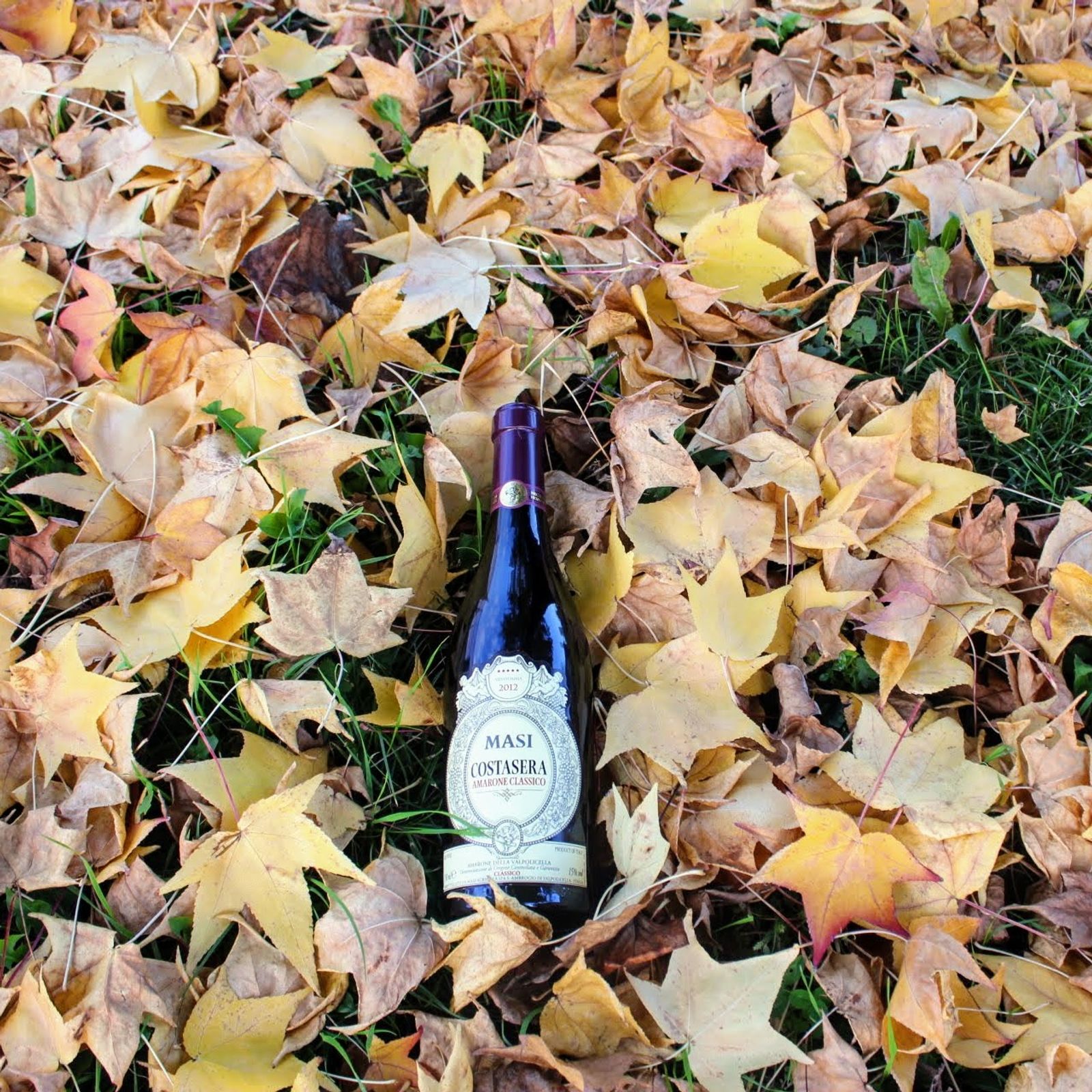 Amarone della Valpolicella