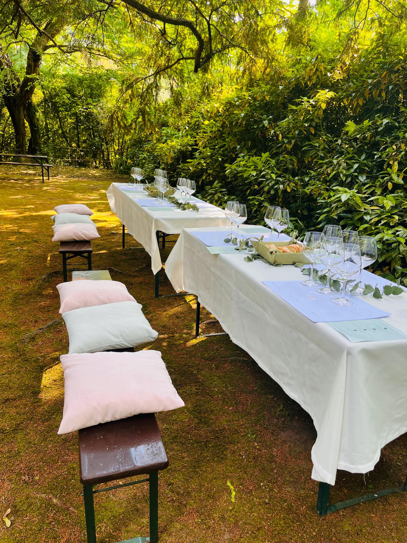Esperienze di Vino nel Giardino Valsanzibio