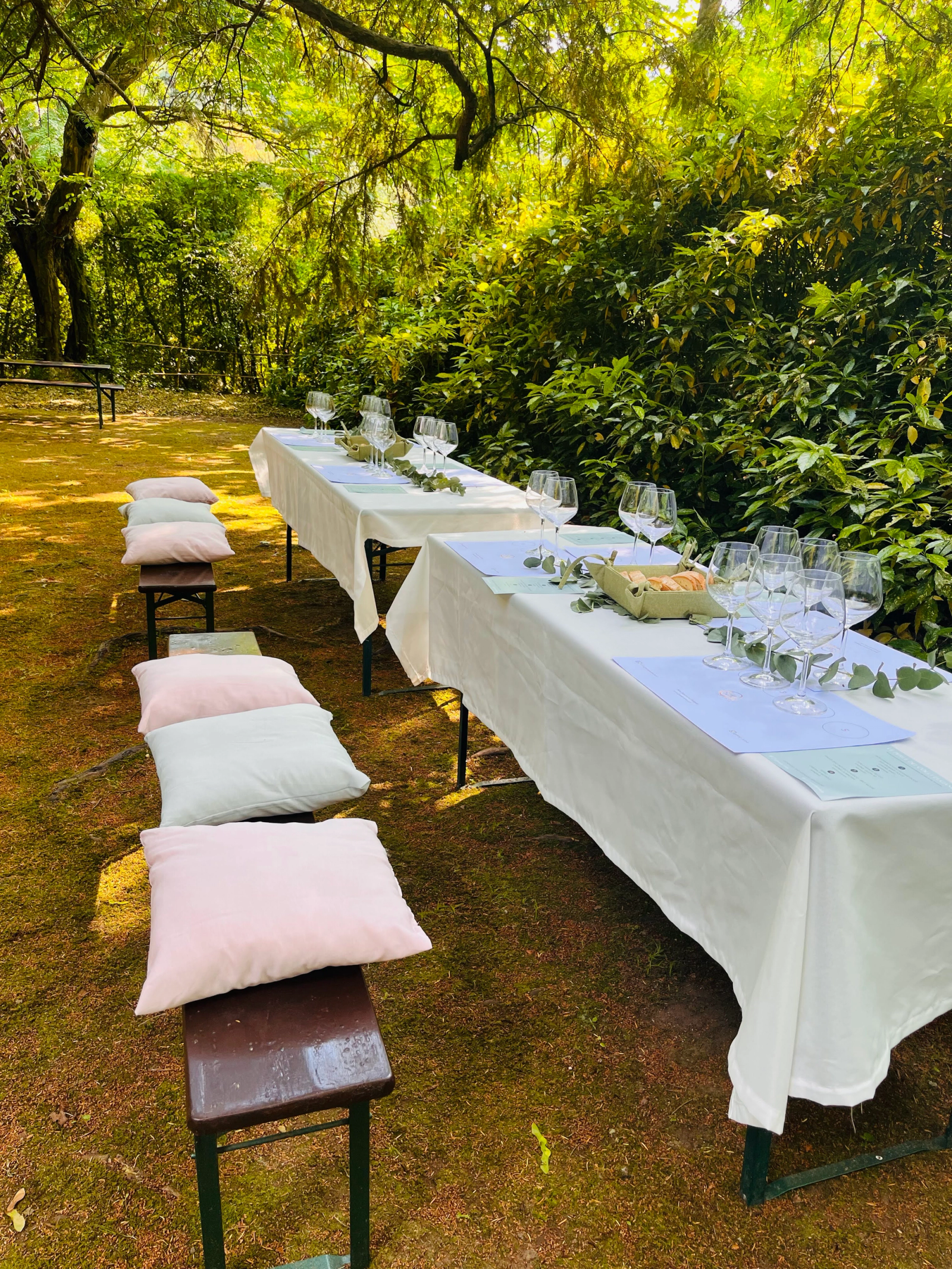 Esperienze di Vino nel Giardino Valsanzibio