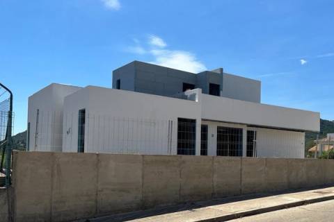 Foto real de Codorniz en Alicante, España