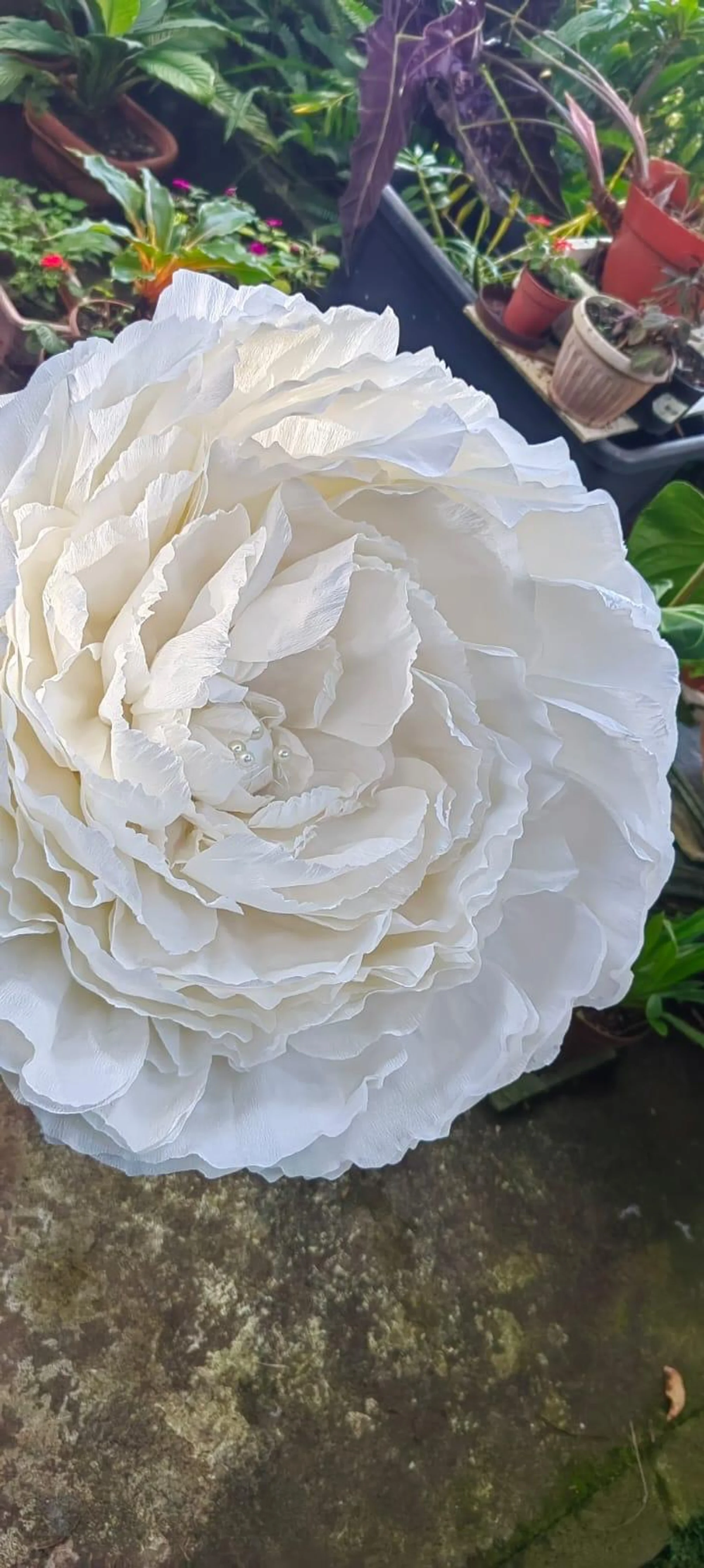 Wild Flower Craft — photo 4