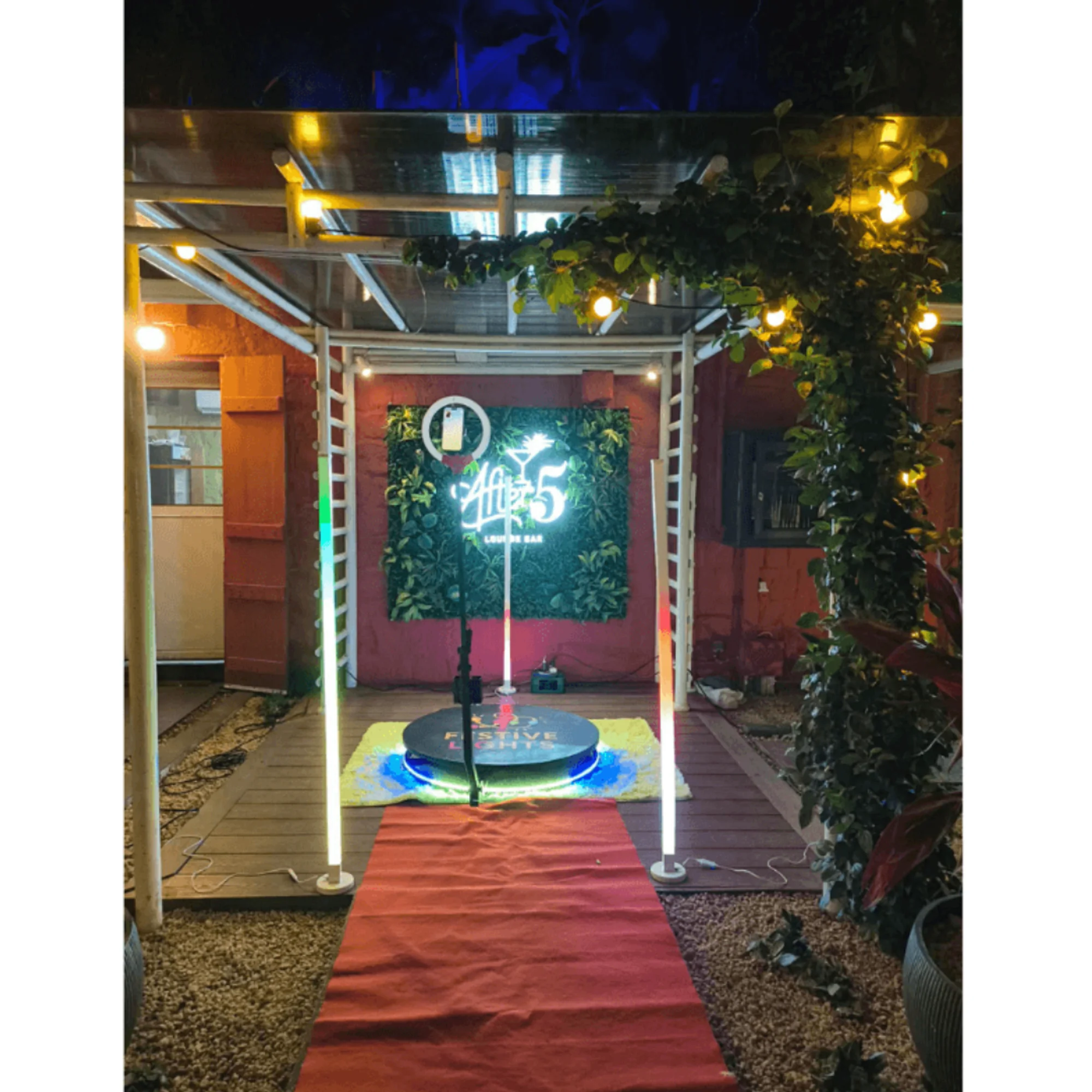 Festive Lights — photo 3