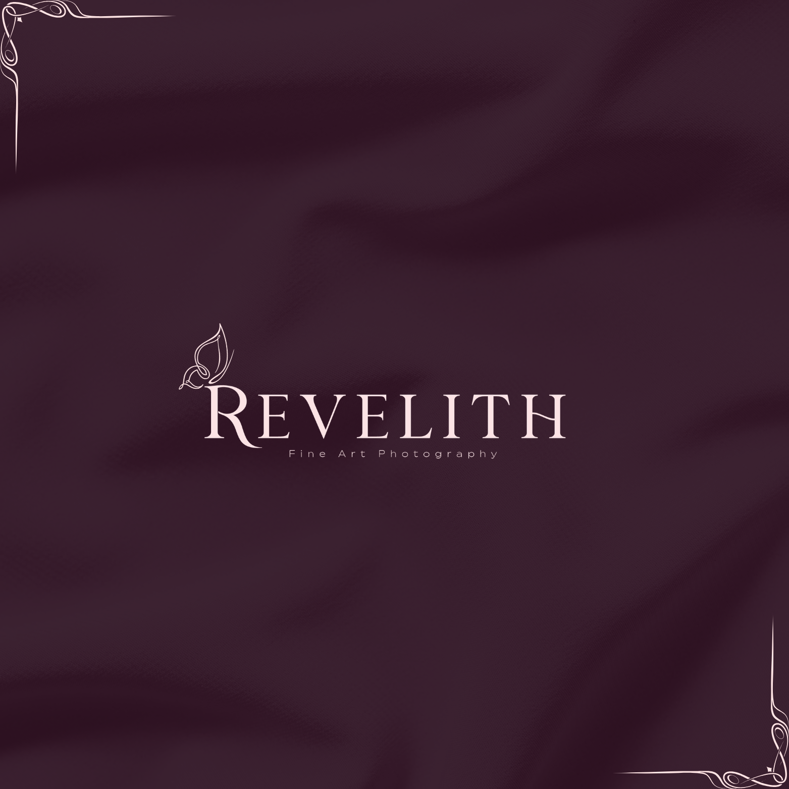 Revelith Photography - image 1