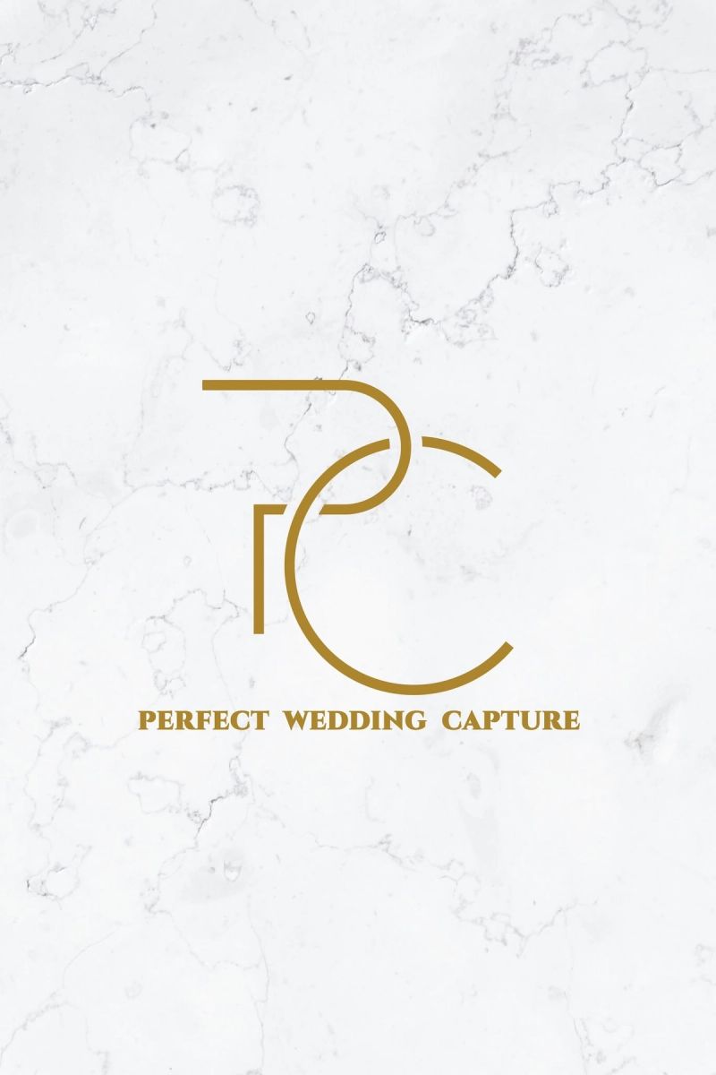 Perfect Wedding Capture - image 1