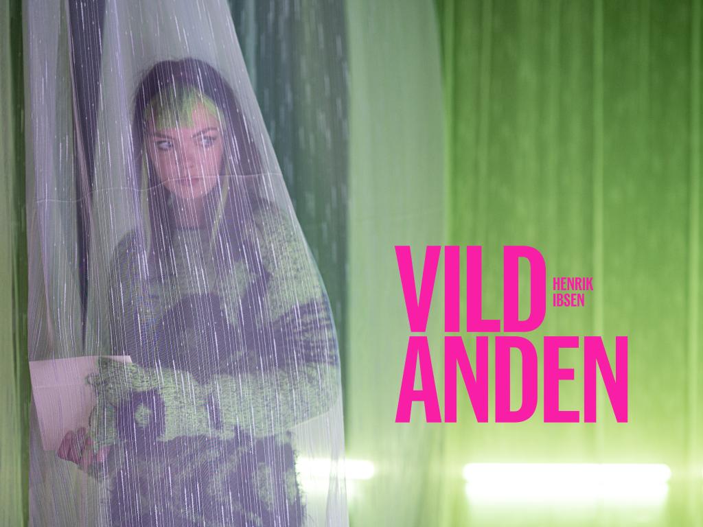 Vildanden