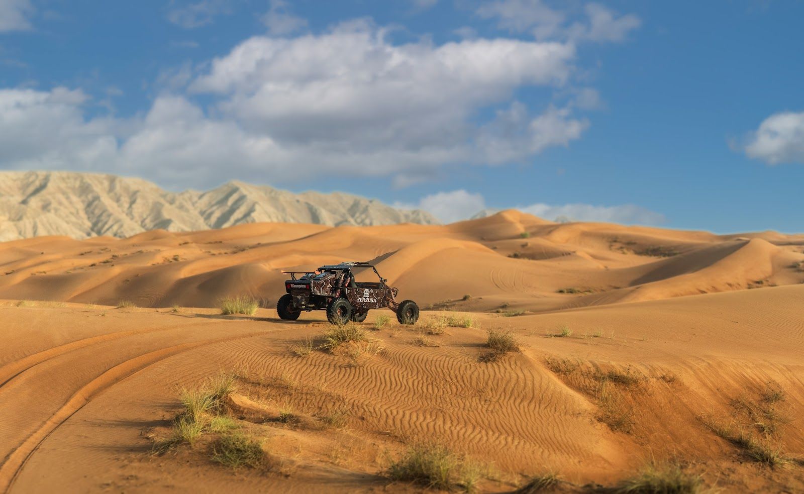What a Complete Tour Includes - Best Dune Buggy Tours Near Dubai: How to Choose the Right One