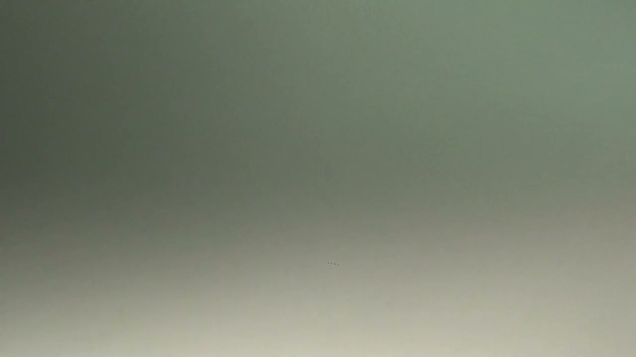 臺中綠美圖 — 開幕形象影片