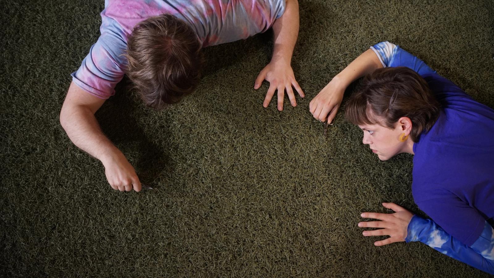 Aculaer (Wiederaufnahme)