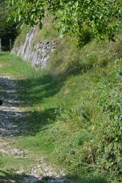 Tour du lac Majeur en VTT avec le lac en arrière-plan