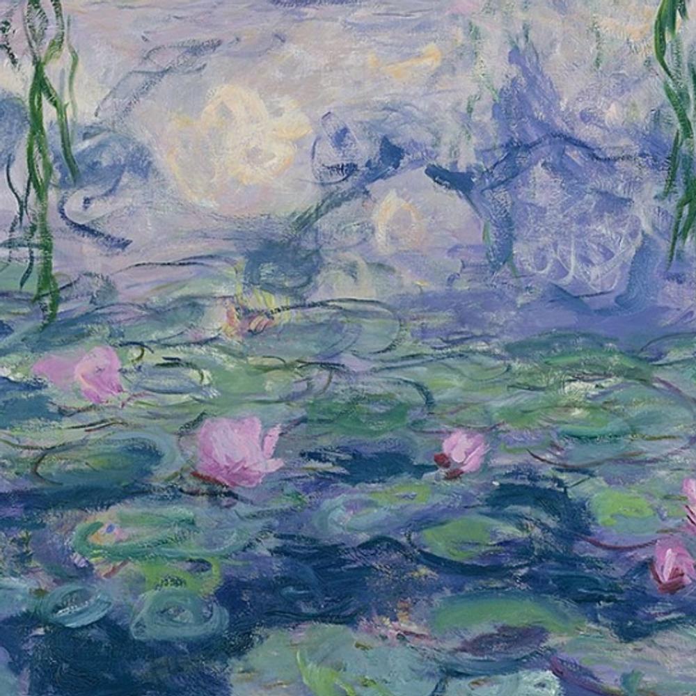 Foto copertina con "Le ninfee di Monet"