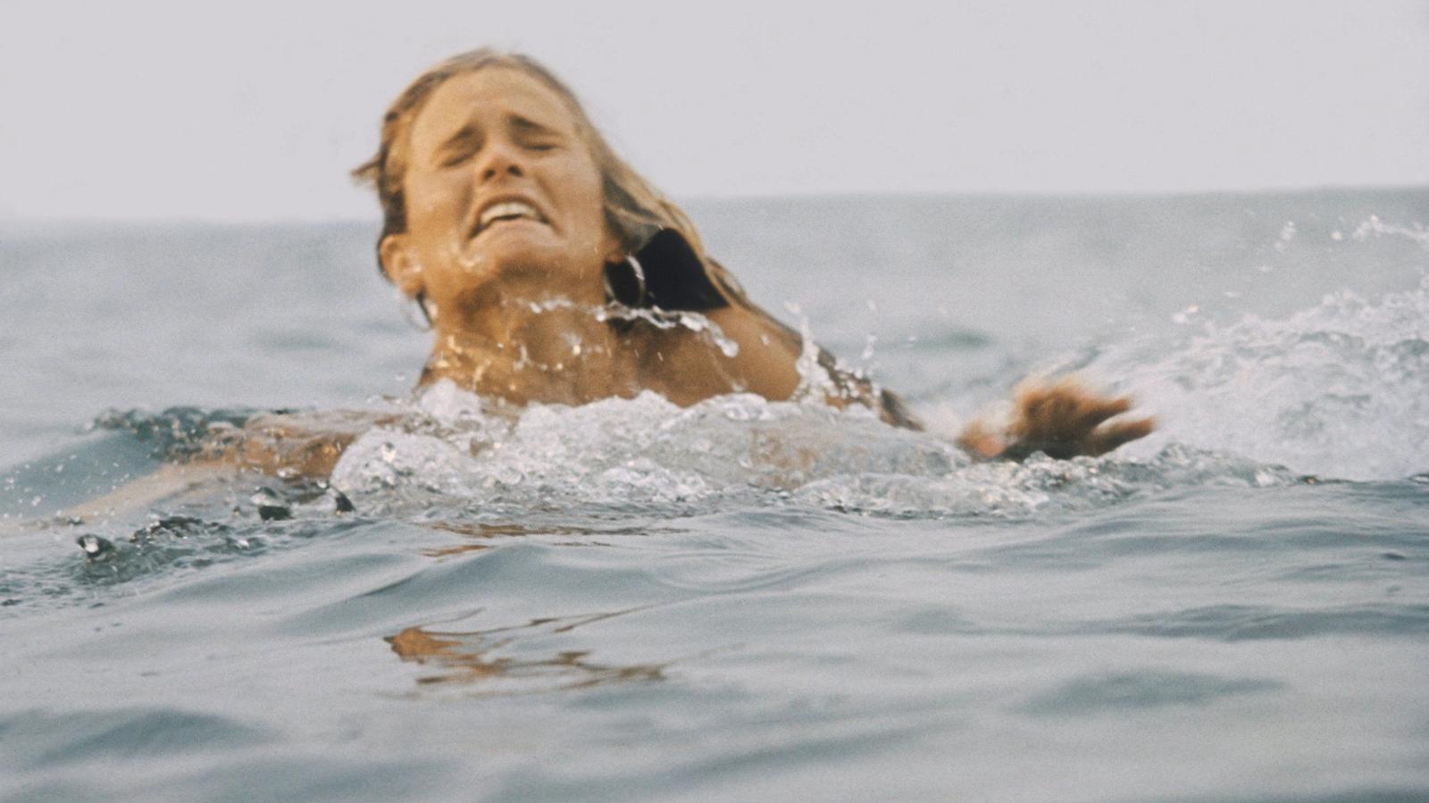 Jaws voted the greatest film ever made, that's staggeringly wrong — News news on dripviewz