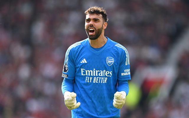 David Raya reveals his next destination after leaving Arsenal