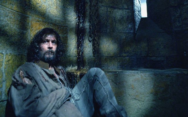'Harry Potter' TV show will be "more satisfying" than movies, says Gary Oldman — Movies story on dripviewz