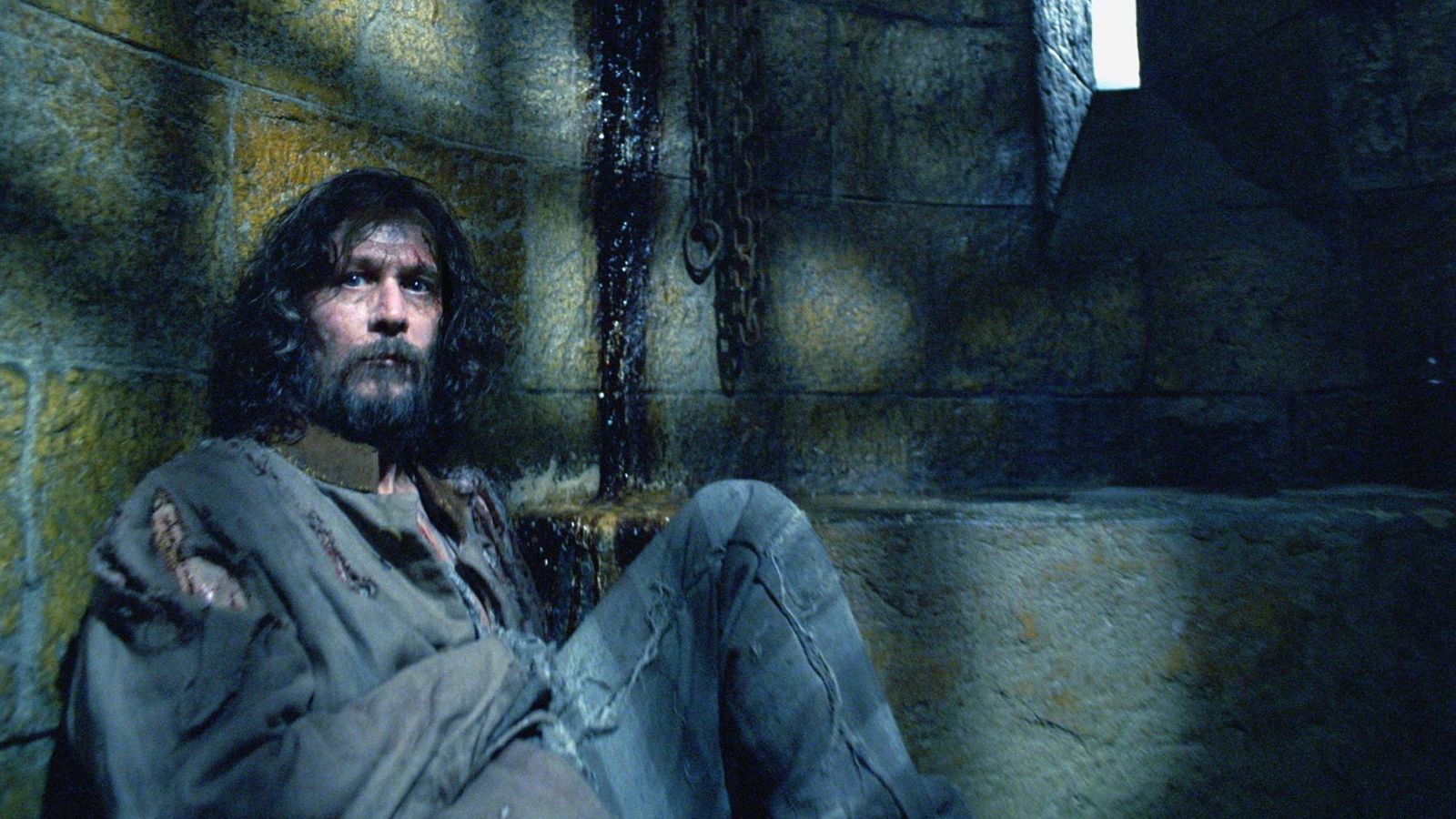 'Harry Potter' TV show will be "more satisfying" than movies, says Gary Oldman — Movies news on dripviewz