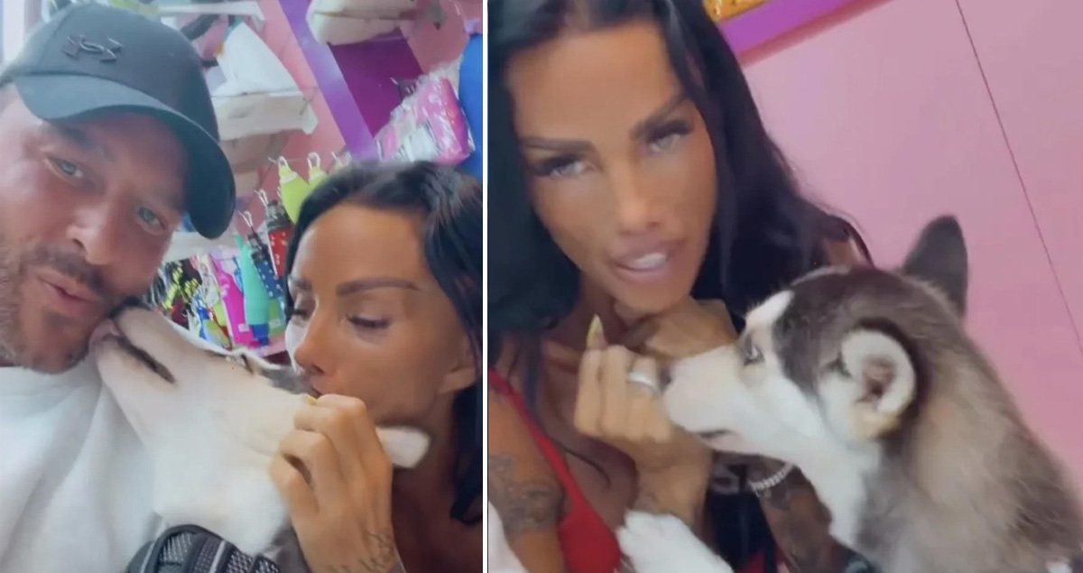 Katie Price and Lee Andrews have made a terrible mistake with their new puppy — News story on dripviewz
