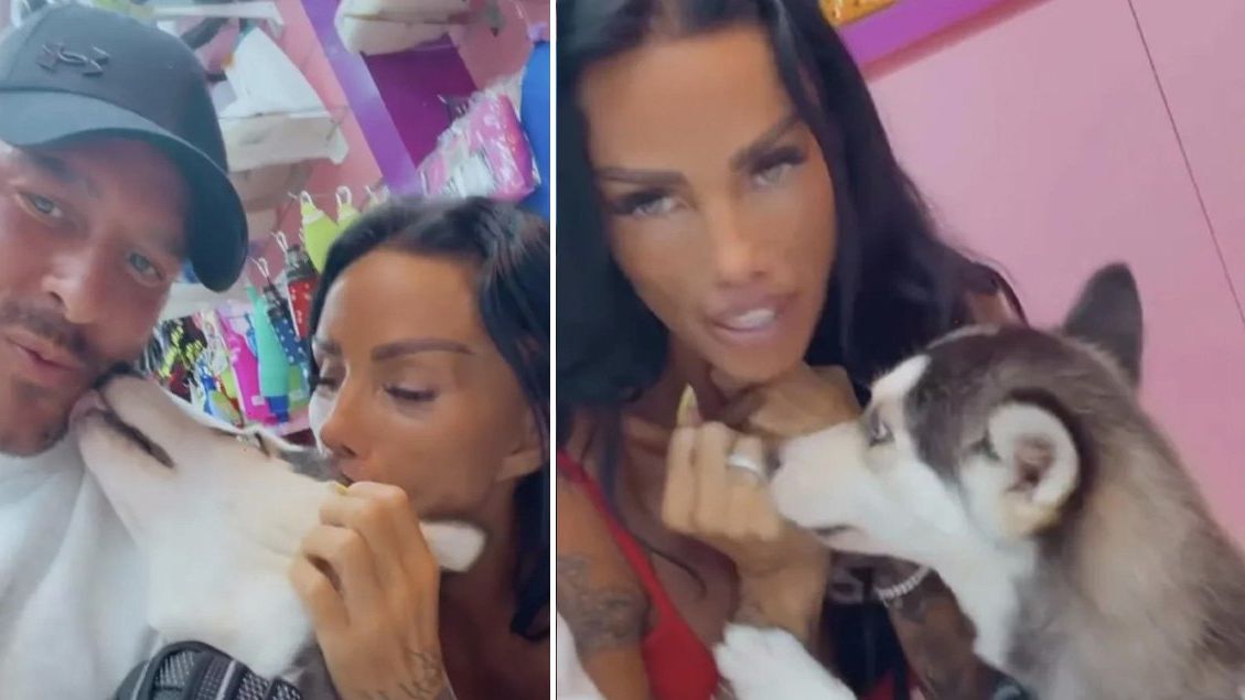 Katie Price and Lee Andrews have made a terrible mistake with their new puppy — News news on dripviewz