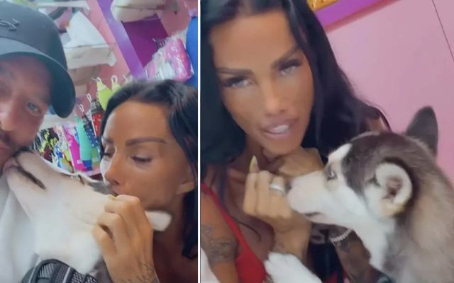 Katie Price and Lee Andrews have made a terrible mistake with their new puppy — News story on dripviewz