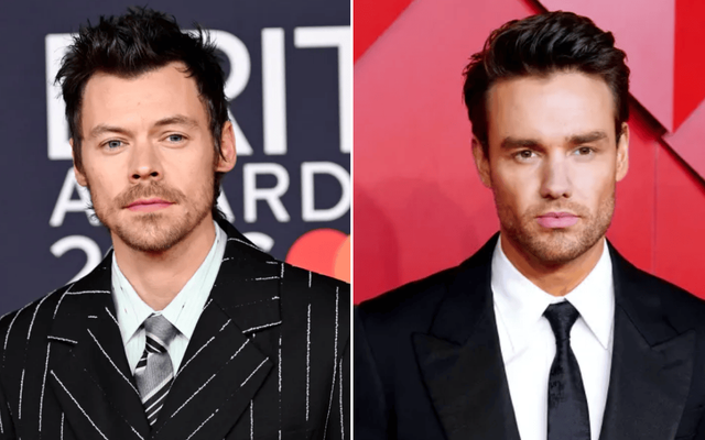 Harry Styles performs heart-breaking unreleased song dedicated to Liam Payne — Music story on dripviewz