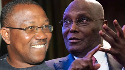 2027: Peter Obi told me he's more popular than Atiku - Dele Momodu — Politics news on dripviewz