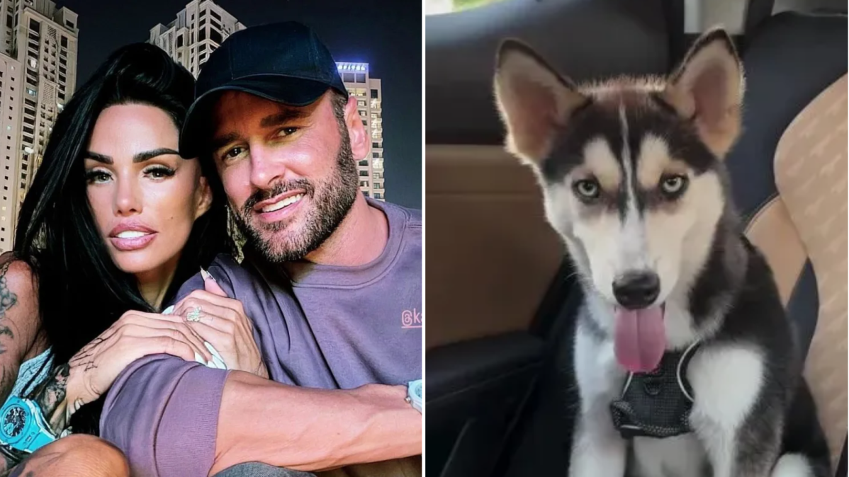 Katie Price's £2,000 dog 'rescued' after Lee Andrews ex claims pet was abandoned — News news on dripviewz