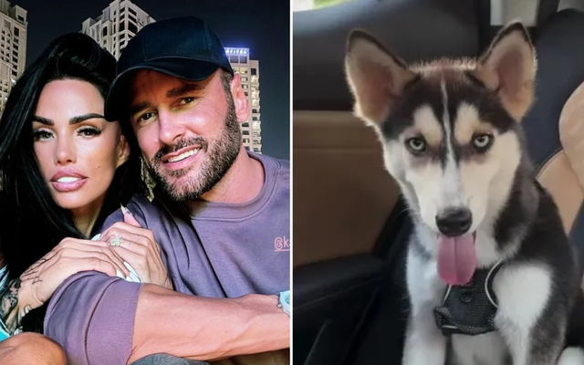 Katie Price's £2,000 dog 'rescued' after Lee Andrews ex claims pet was abandoned