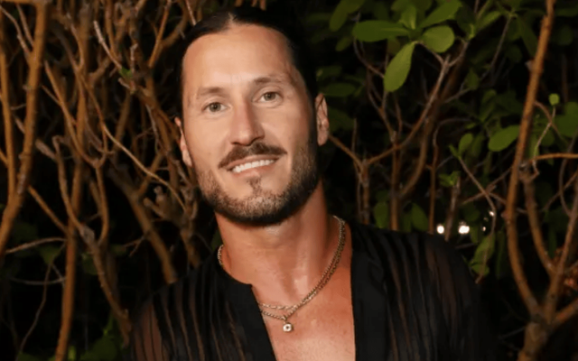 Dancing With the Stars suspends pro for 'inappropriate' comment about slapping female judge — News story on dripviewz