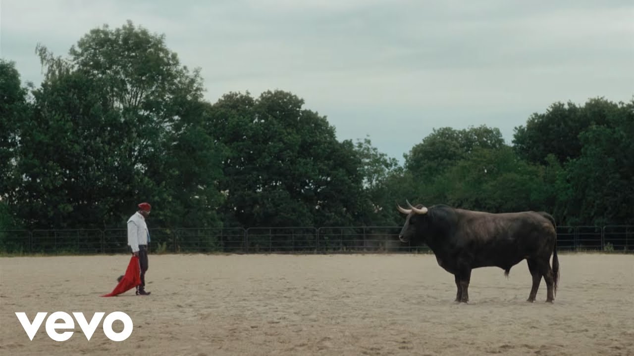 Asake Trades City Lights for Castles and Bulls in His New "MCBH" Video