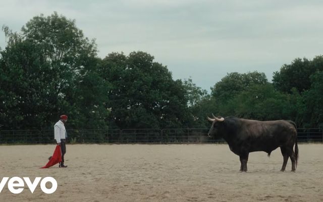 Asake Trades City Lights for Castles and Bulls in His New "MCBH" Video
