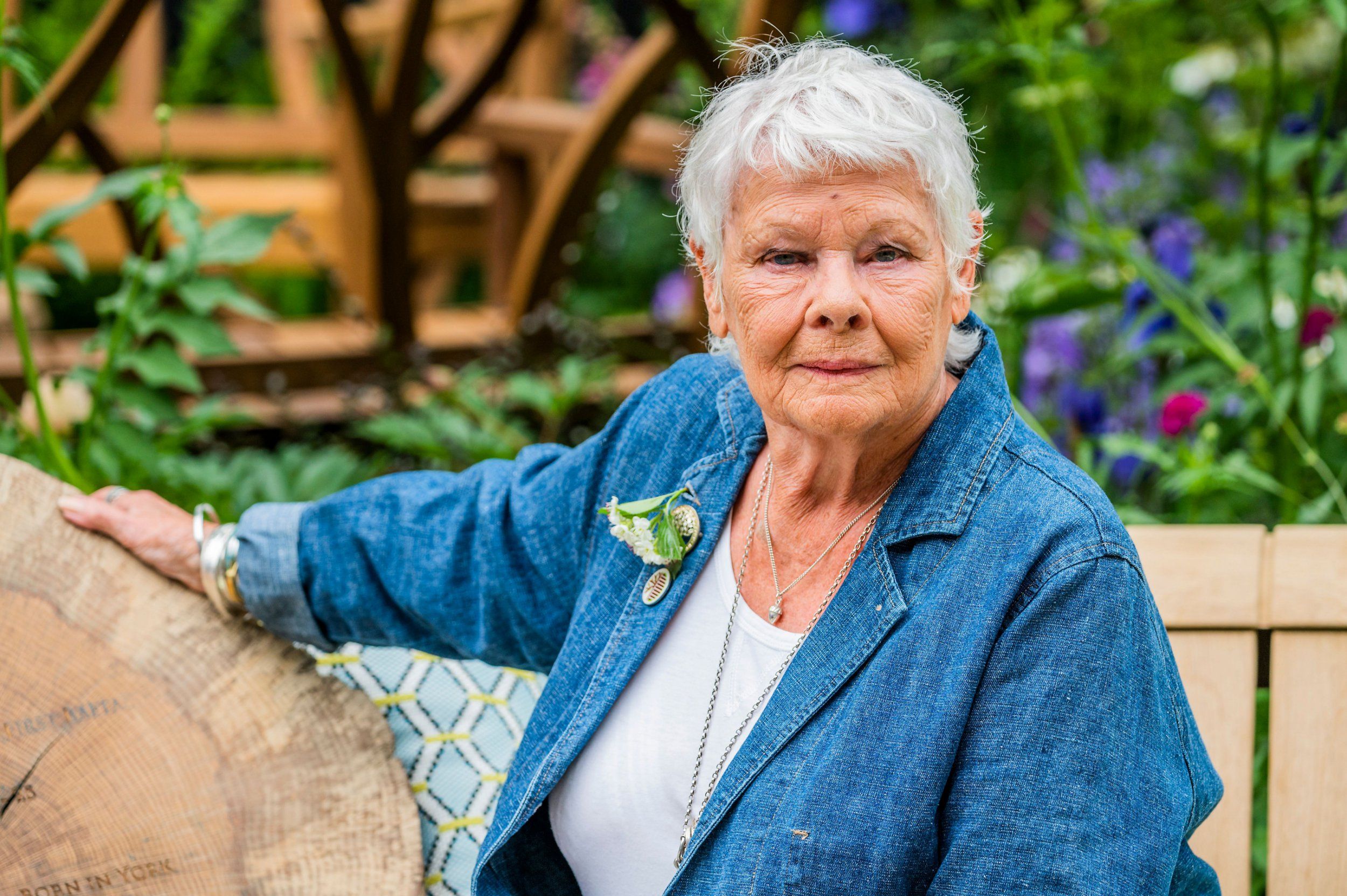 Even Judi Dench calls one of her own films a 'waste of talent' — News story on dripviewz