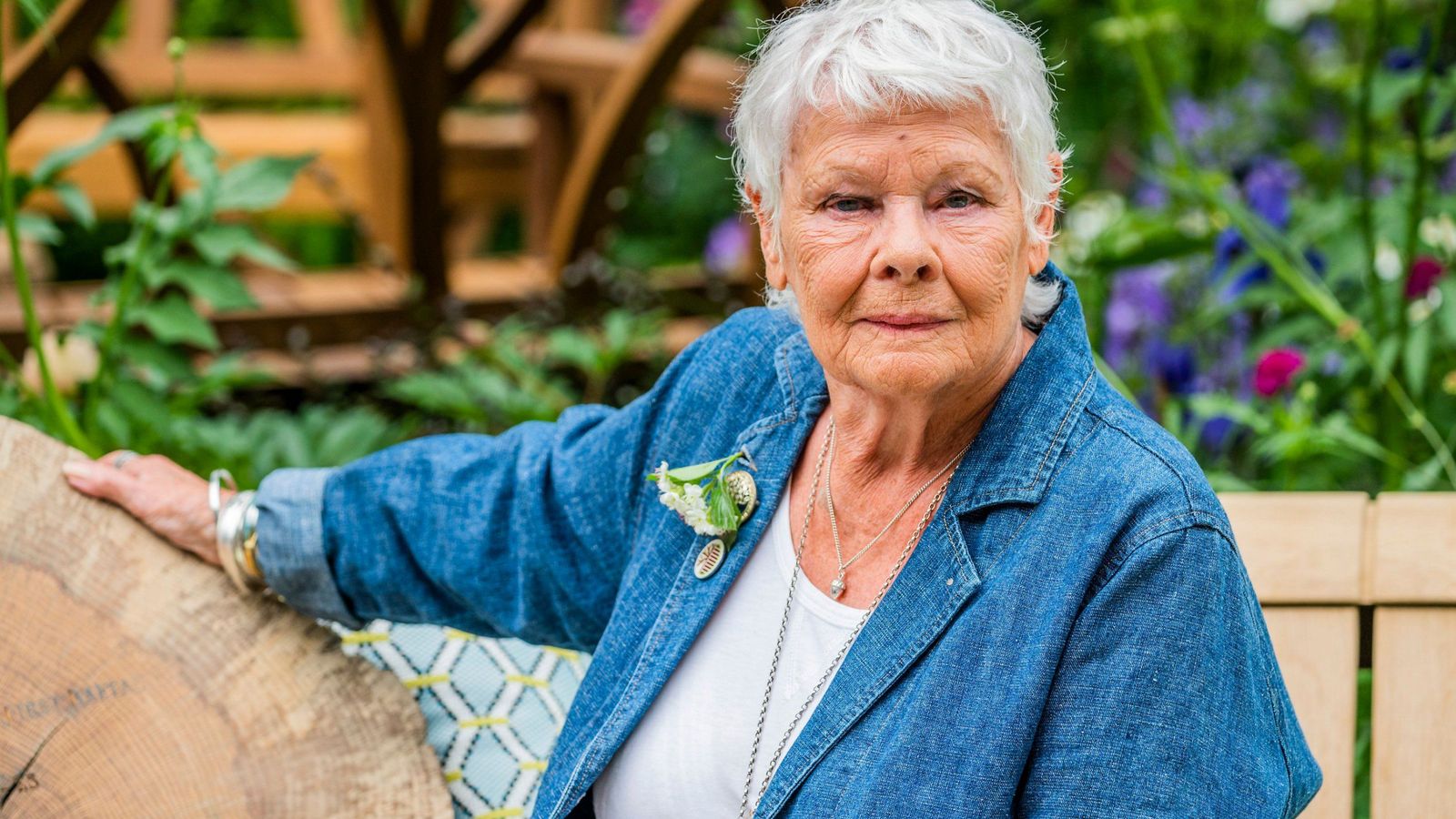 Even Judi Dench calls one of her own films a 'waste of talent' — News news on dripviewz