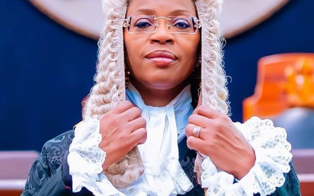 Oyinkansola Badejo-Okusanya Becomes First Woman Elected President of the Nigerian Bar Association — Politics story on dripviewz