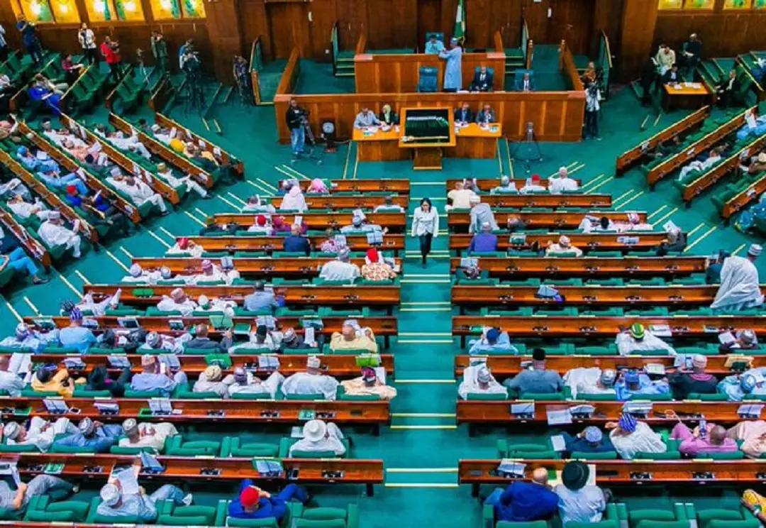 Reps minority caucus elect Agbedi, Dasuki as leader, deputy — Politics story on dripviewz