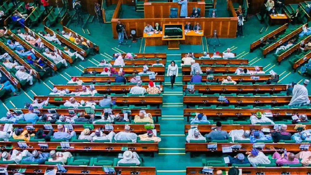 Reps minority caucus elect Agbedi, Dasuki as leader, deputy — Politics news on dripviewz