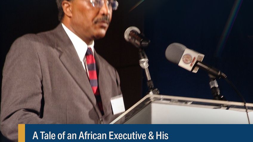 BN Book Excerpt: A Tale of an African Executive & His African Dream Team, in Corporate America by Yibrah Tesfazghi — News news on dripviewz